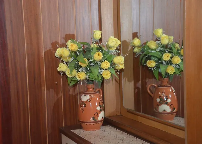 Mimica-croatia , , Center Lejlighed