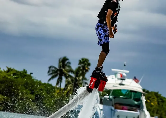 Mimica-croatia , , Center